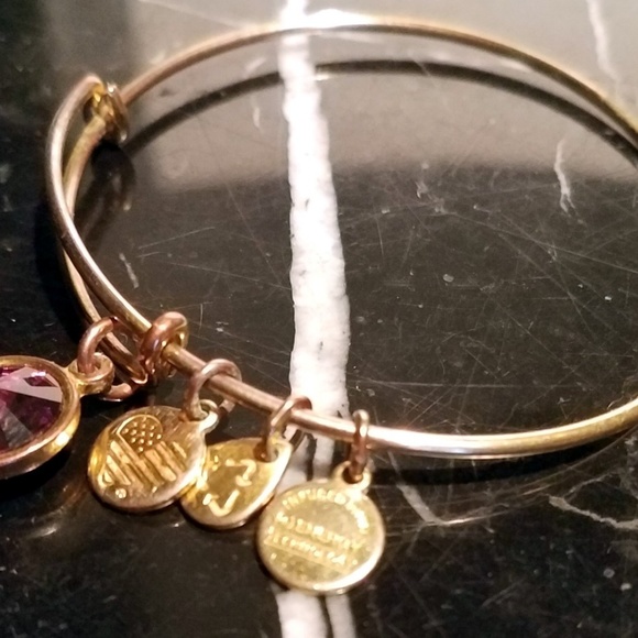 Alex and Ani February Birthstone AMETHYST Rafaelia - Picture 3 of 7